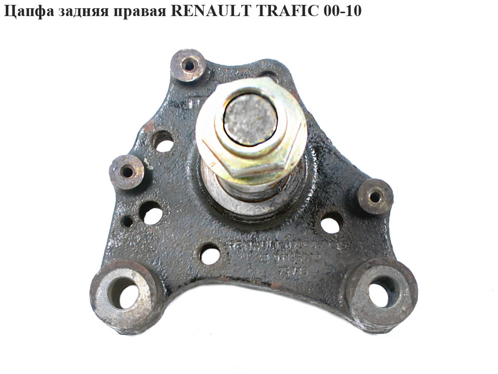 Цапфа задняя правая RENAULT TRAFIC 00-10 (РЕНО ТРАФИК) (8200050016)