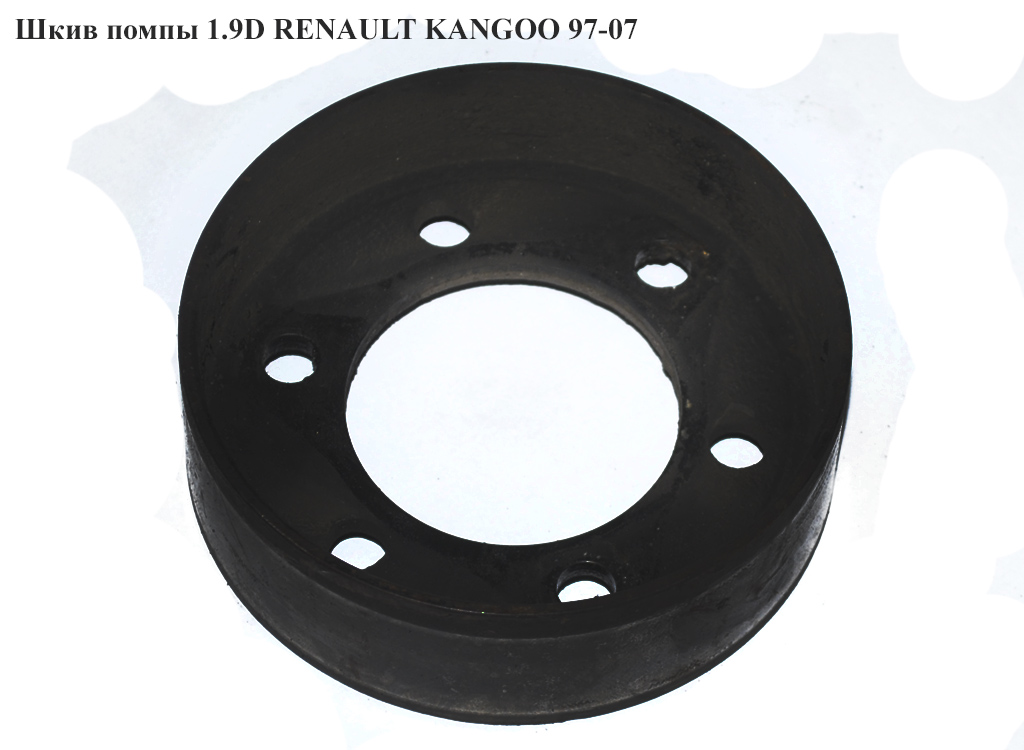 Шків помпи 1.9D RENAULT KANGOO 97-07 (РЕНО КАНГО) (8200689693)